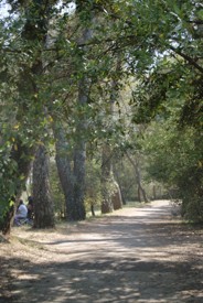 Bois de la Vierge - JPEG - 58.5 ko