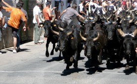 Mini-féria - JPEG - 27.6 ko