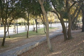 Espace du Devois - JPEG - 52.6 ko