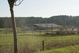 Concours sauts d'obstacles - JPEG - 44.1 ko