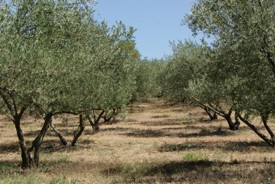 Moulin des Vautes - JPEG - 53.9 ko